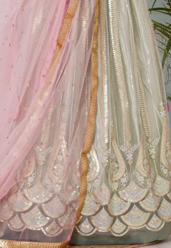 Embroidered Net Lehenga in Pastel Green