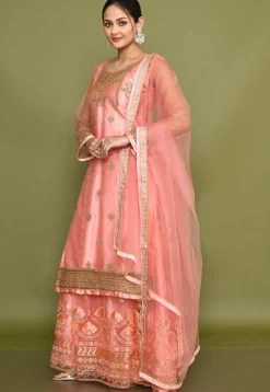 Embroidered Net Lehenga in Pink