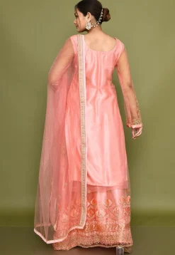 Embroidered Net Lehenga in Pink
