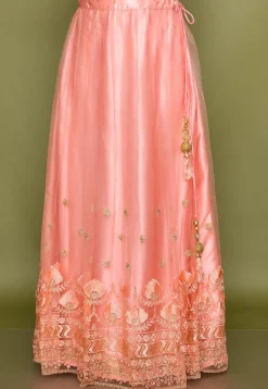 Embroidered Net Lehenga in Pink