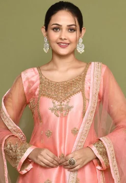 Embroidered Net Lehenga in Pink