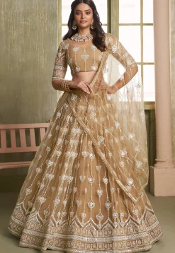 Embroidered Net Lehenga in Beige