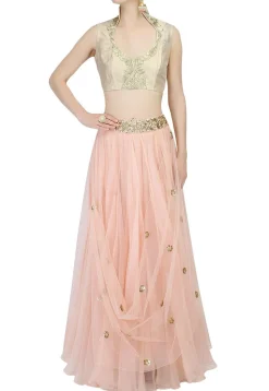 Embroidered Net Lehenga in Light Peach