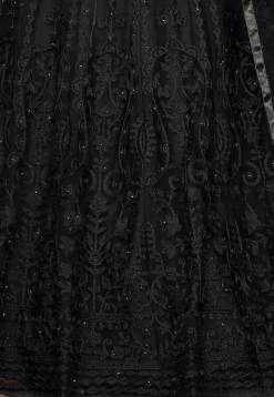 Embroidered Net Lehenga in Black
