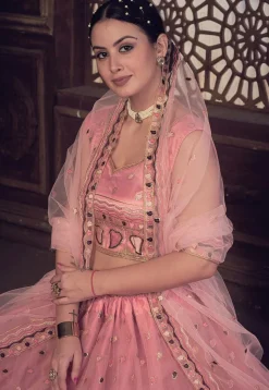 Embroidered Net Lehenga in Pink