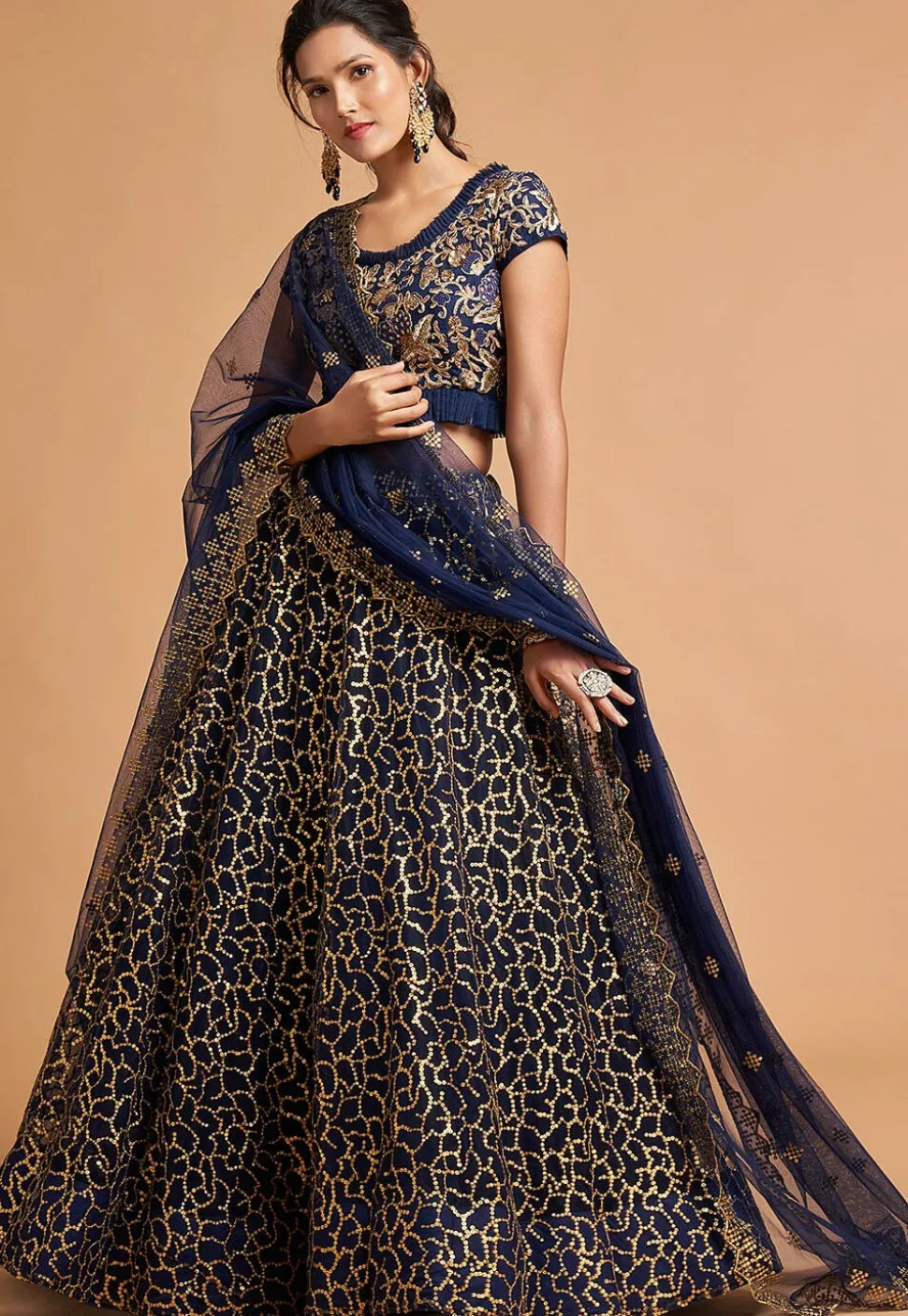 Embroidered Net Lehenga in Navy Blue