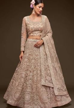 Embroidered Net Lehenga in Beige