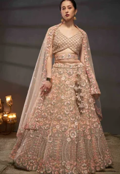 Embroidered Net Lehenga in Peach
