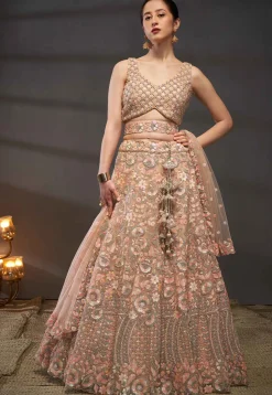 Embroidered Net Lehenga in Peach