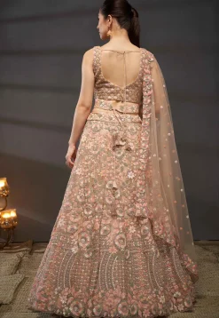 Embroidered Net Lehenga in Peach