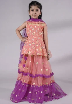 Embroidered Net Lehenga in Peach and Purple