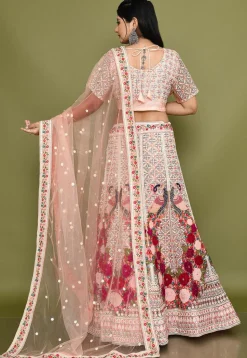 Embroidered Net Lehenga in Peach