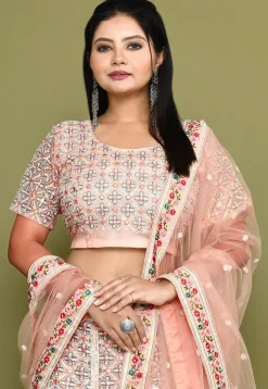 Embroidered Net Lehenga in Peach