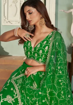 Embroidered Net Lehenga in Green