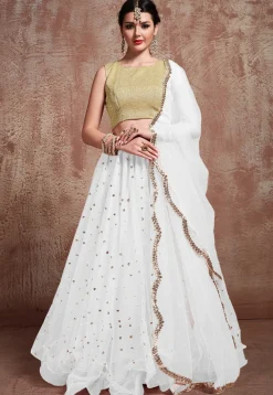 Embroidered Net Lehenga in White