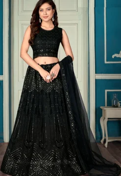 Embroidered Net Lehenga in Black