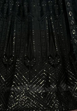 Embroidered Net Lehenga in Black