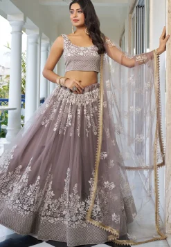 Embroidered Net Lehenga in Fawn