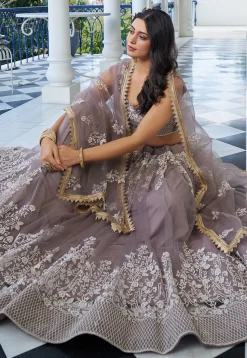 Embroidered Net Lehenga in Fawn