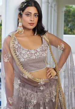 Embroidered Net Lehenga in Fawn