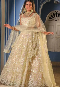 Embroidered Net Lehenga in Beige