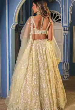 Embroidered Net Lehenga in Beige