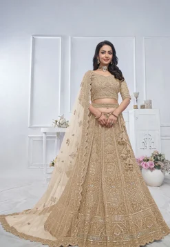 Embroidered Net Lehenga in Beige