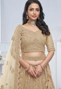 Embroidered Net Lehenga in Beige
