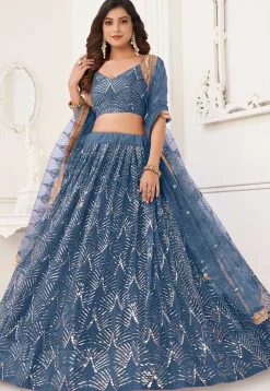 Embroidered Net Lehenga in Blue