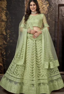 Embroidered Net Lehenga in Light Green