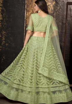 Embroidered Net Lehenga in Light Green