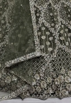 Embroidered Net Lehenga in Olive Green