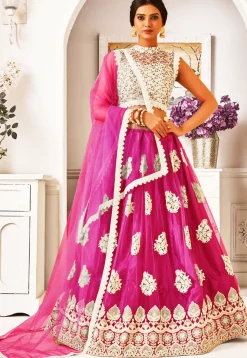 Embroidered Net Lehenga in Fuchsia