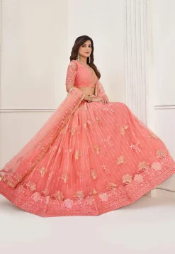 Embroidered Net Lehenga in Peach