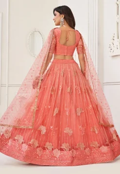 Embroidered Net Lehenga in Peach