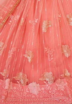 Embroidered Net Lehenga in Peach