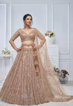 Embroidered Net Lehenga in Beige
