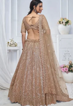 Embroidered Net Lehenga in Beige