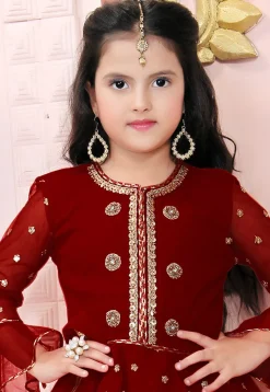Embroidered Net Lehenga in Maroon