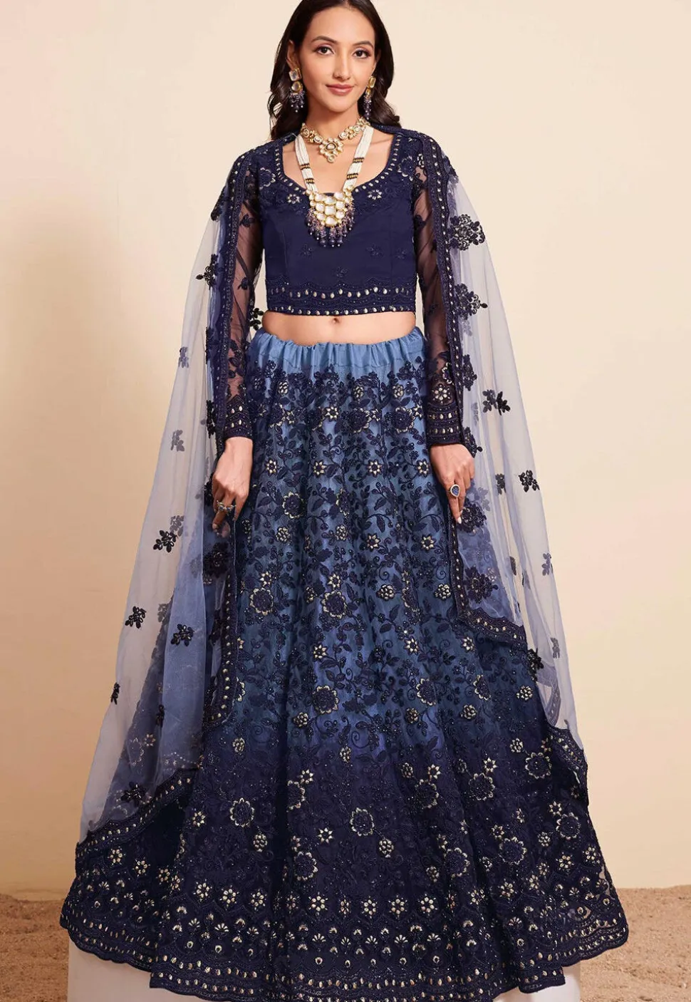 Embroidered Net Lehenga in Navy Blue