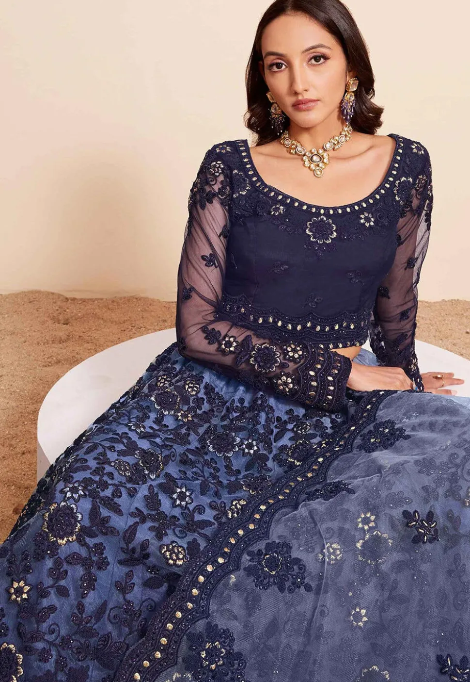 Embroidered Net Lehenga in Navy Blue