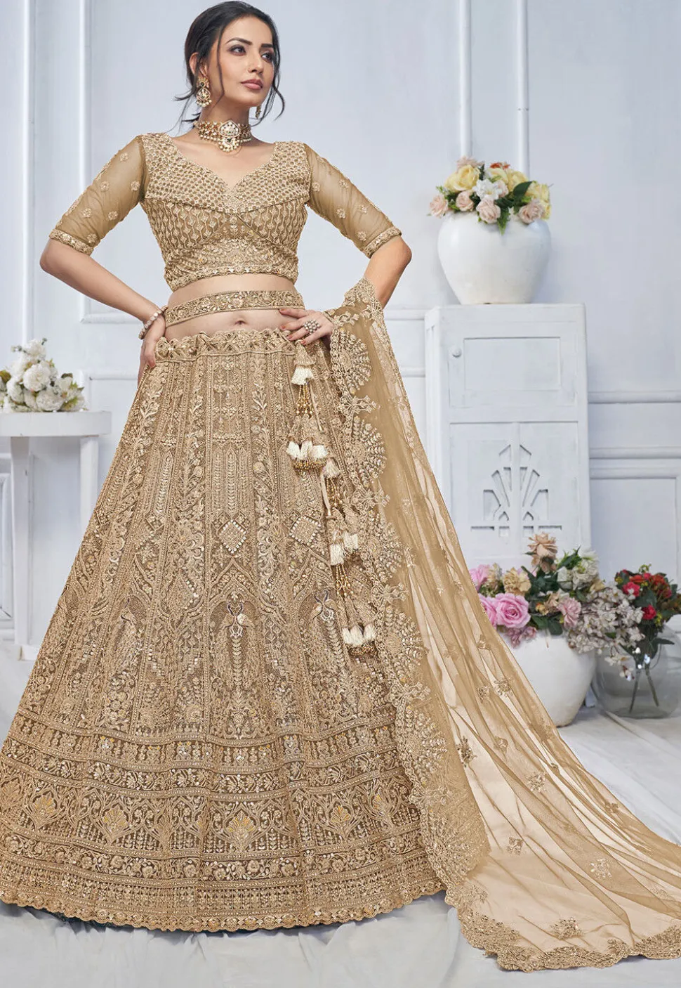 Embroidered Net Lehenga in Light Brown