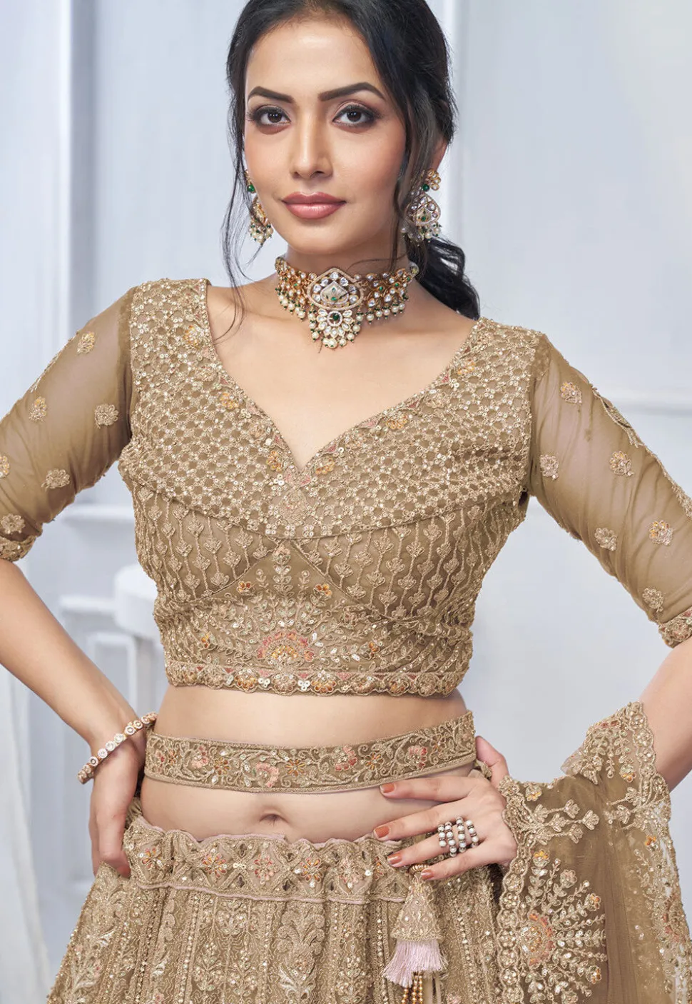 Embroidered Net Lehenga in Light Brown
