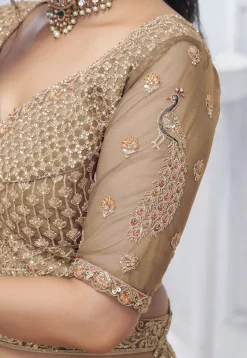 Embroidered Net Lehenga in Light Brown