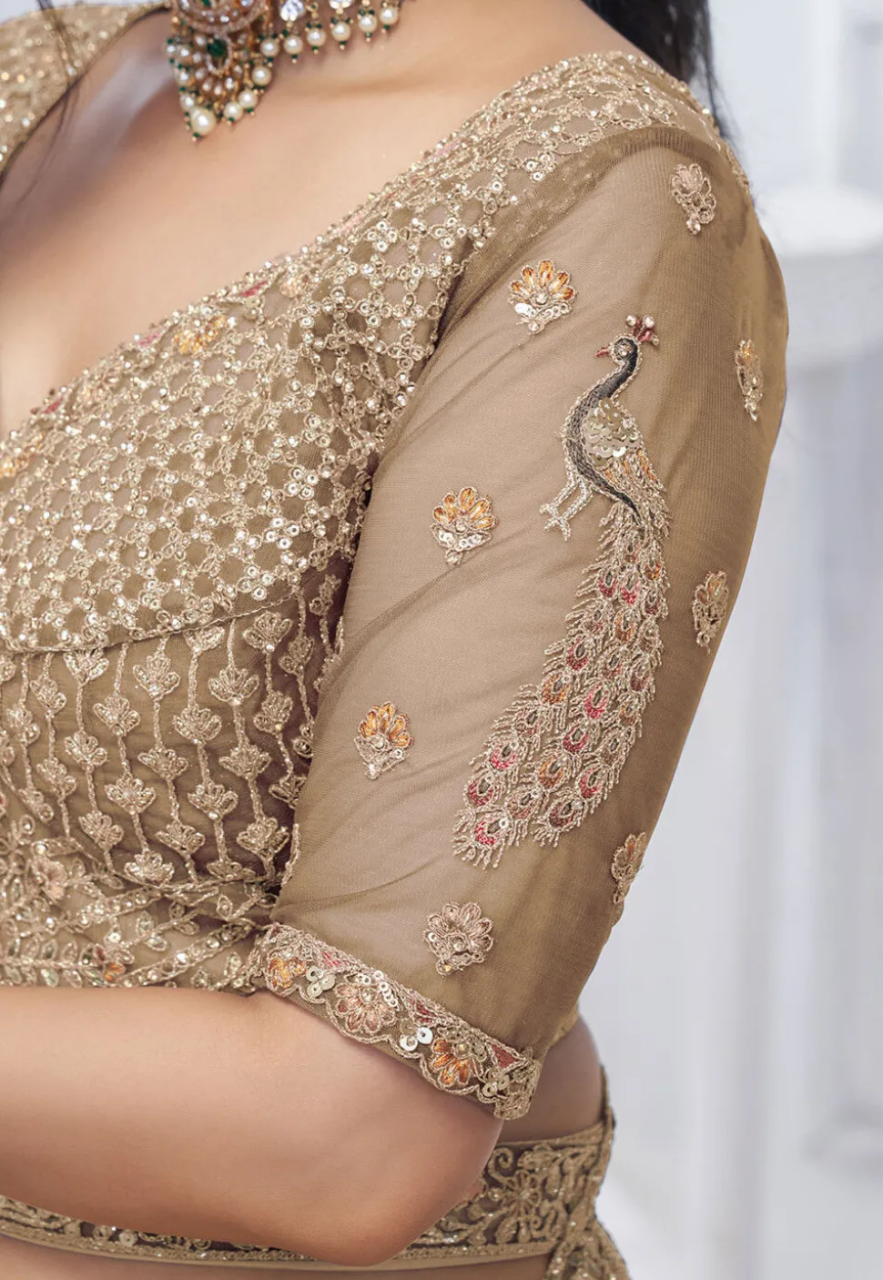 Embroidered Net Lehenga in Light Brown