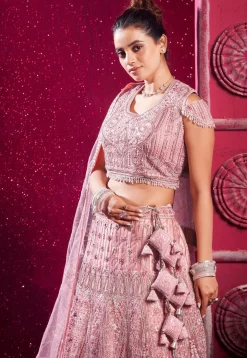 Embroidered Net Lehenga in Pink