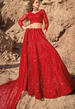 Embroidered Net Lehenga in Red