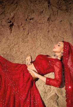 Embroidered Net Lehenga in Red