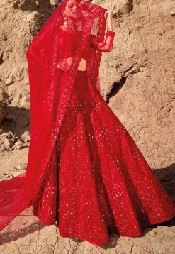 Embroidered Net Lehenga in Red