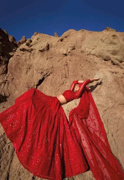 Embroidered Net Lehenga in Red